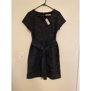 NWT LOFT  V neck, Tie Waist Dress